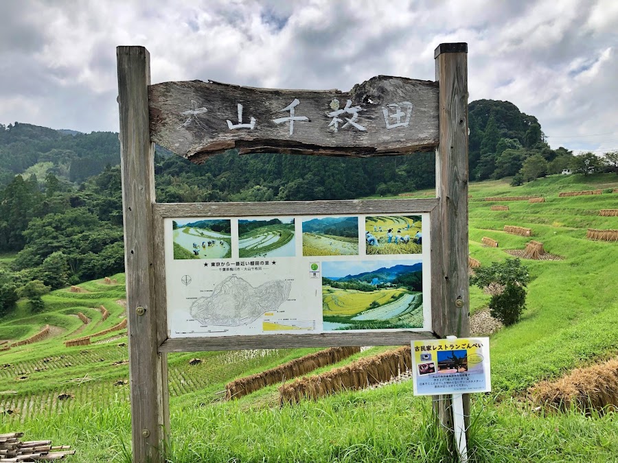 大山千枚田の写真