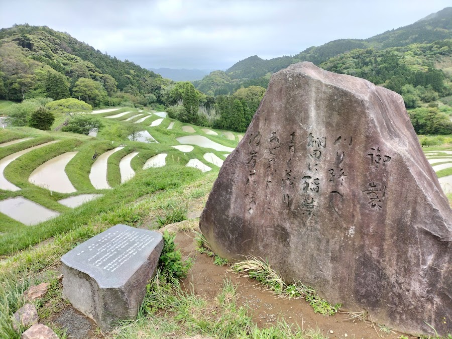 大山千枚田の写真