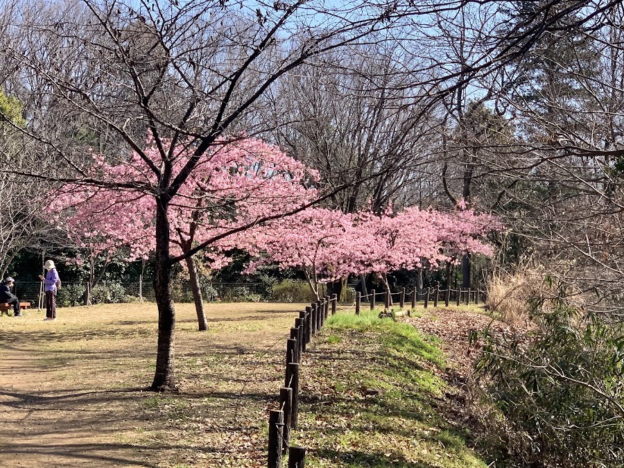 小山内裏公園 わんわんふれあい広場の写真
