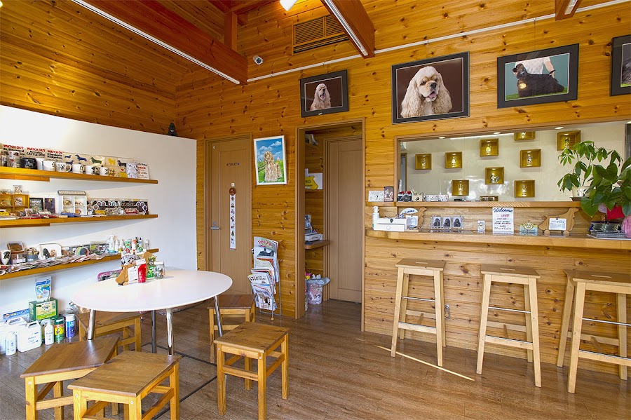 PhotoDog フォトドッグの写真