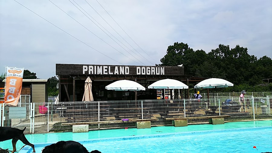 PRIMELAND ドッグランもろやまの写真
