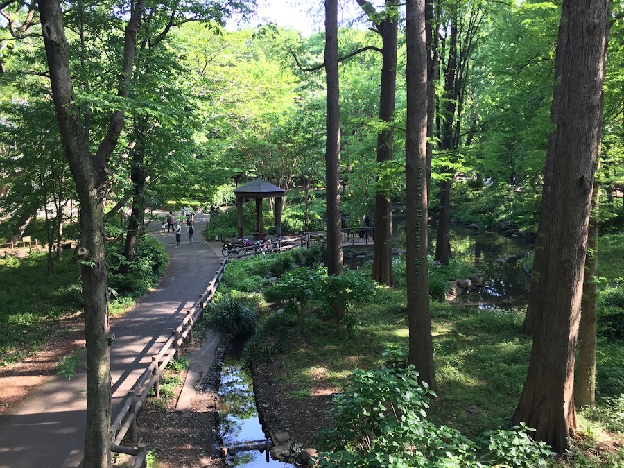 林試の森公園の写真