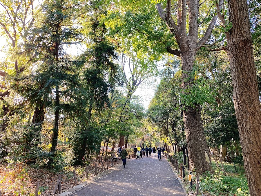 林試の森公園の写真