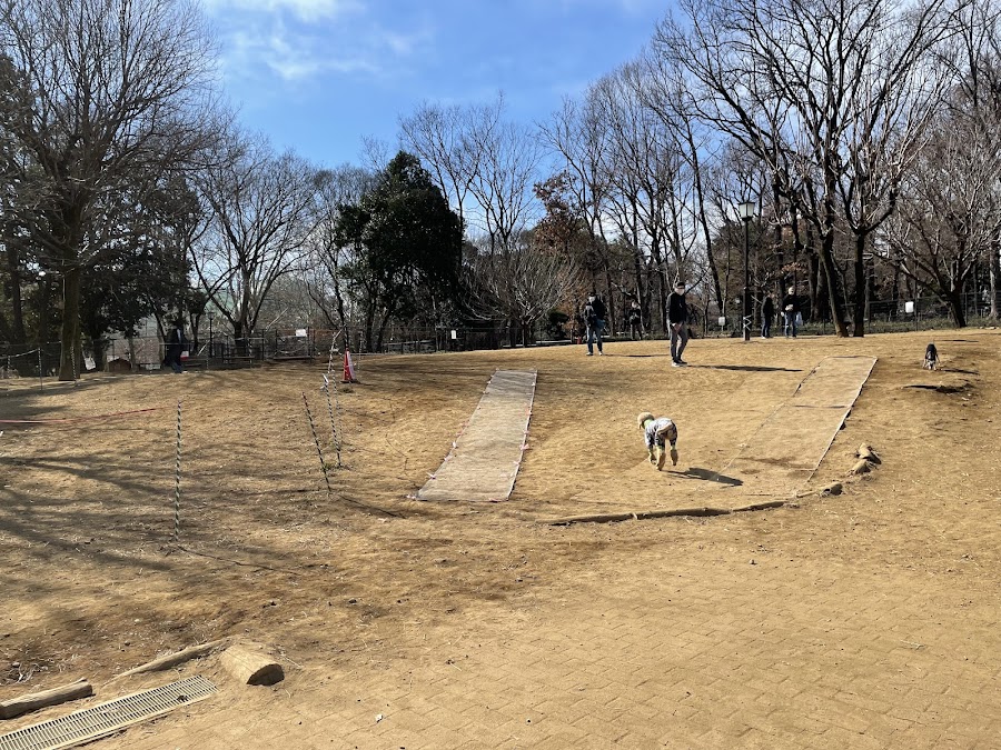 蘆花恒春園 ドッグランの写真