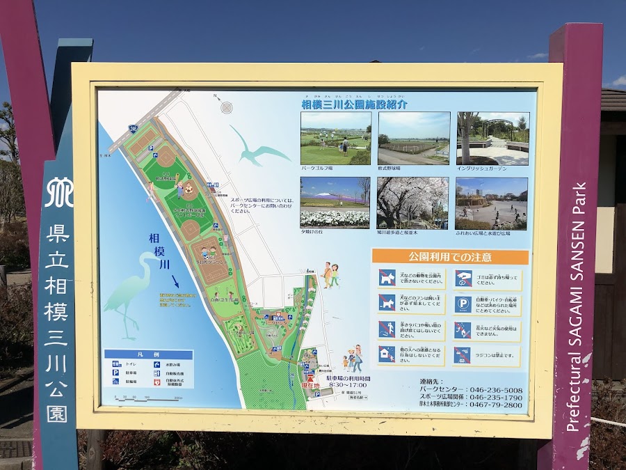 県立相模三川公園の写真