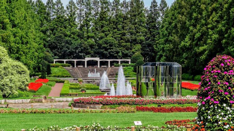 県立相模原公園の写真