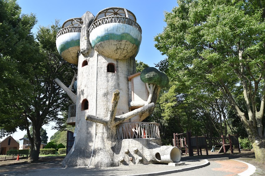 県立相模原公園の写真