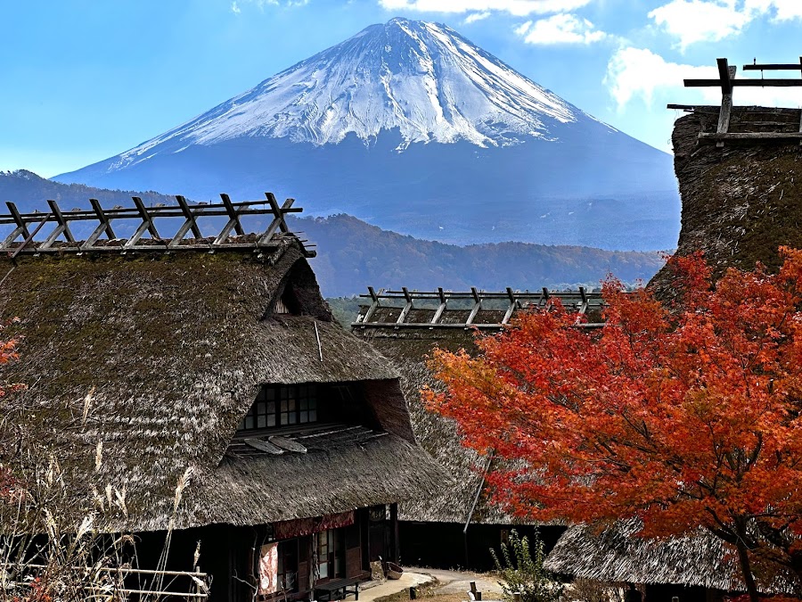 西湖いやしの里 根場の写真
