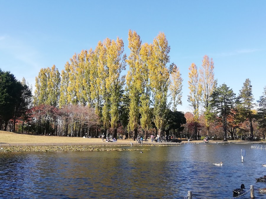 彩の森入間公園の写真