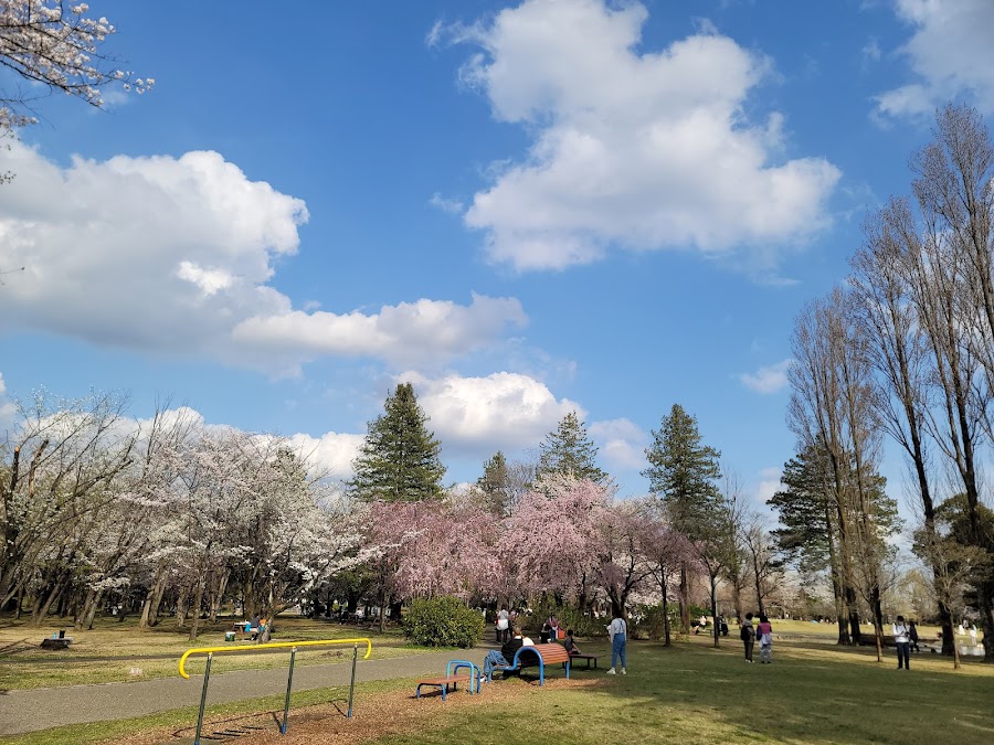 彩の森入間公園の写真