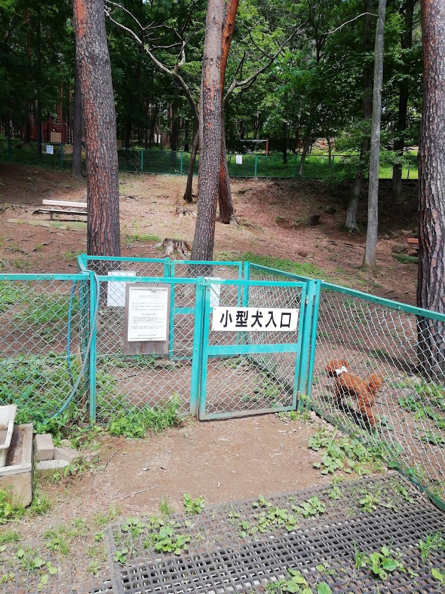 佐久平ハイウェイオアシス パラダ ドッグランの写真