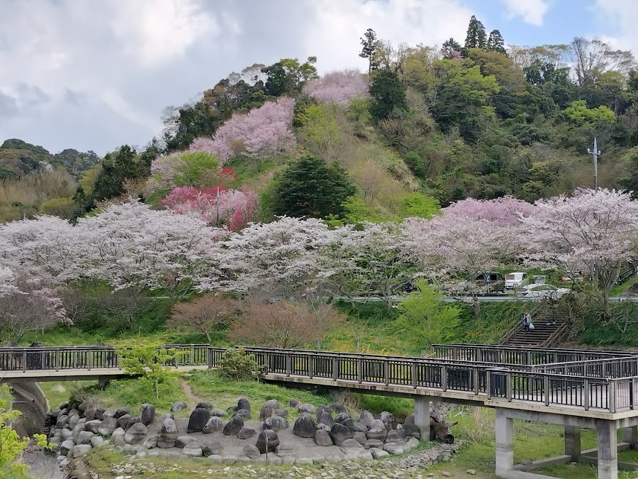 佐久間ダム湖 親水公園の写真