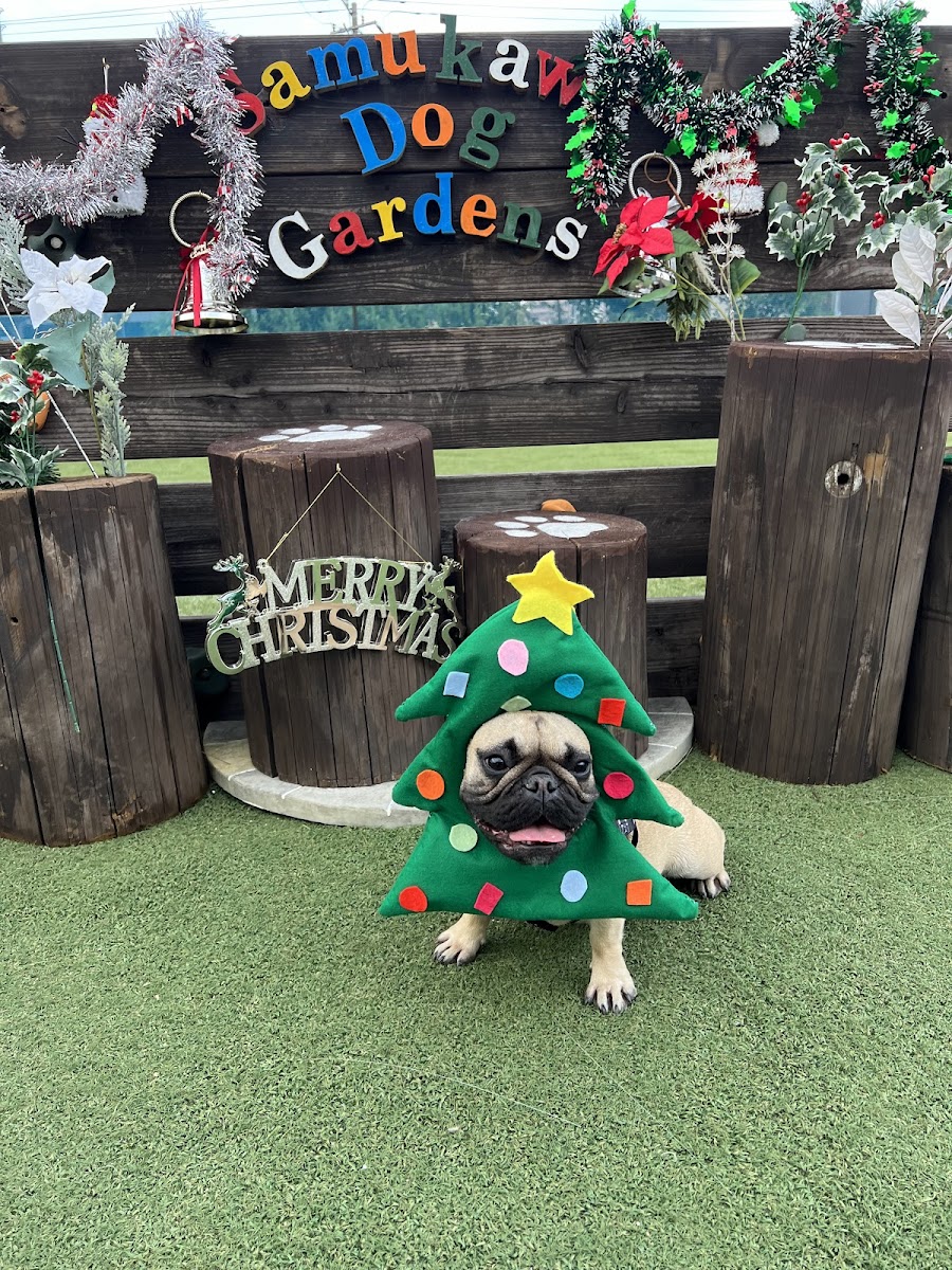 Samukawa Dog Garden'sの写真
