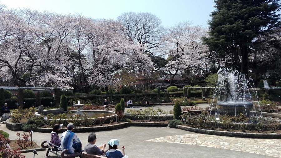 里見公園の写真