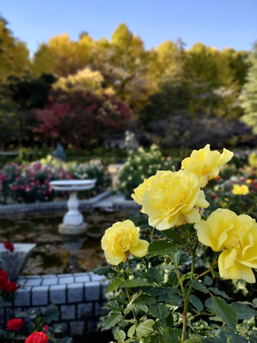 里見公園の写真