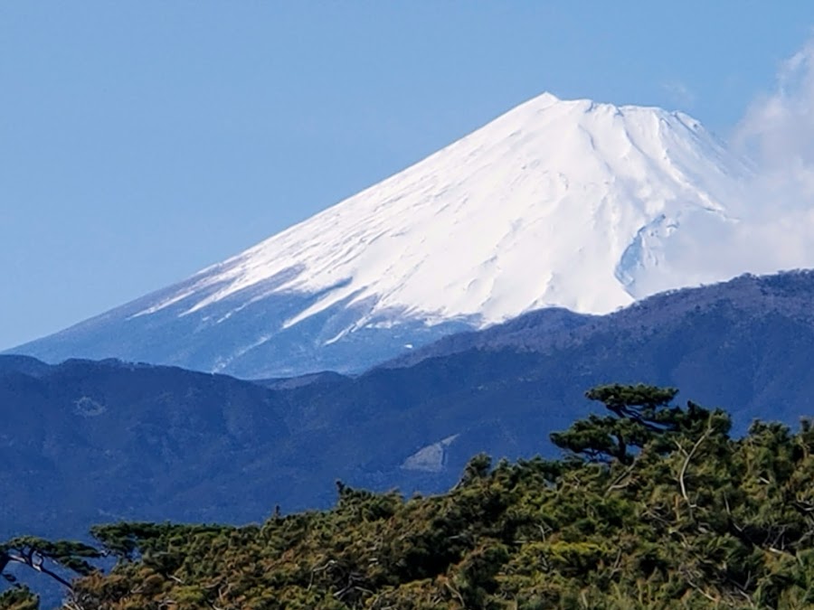 千本浜公園の写真