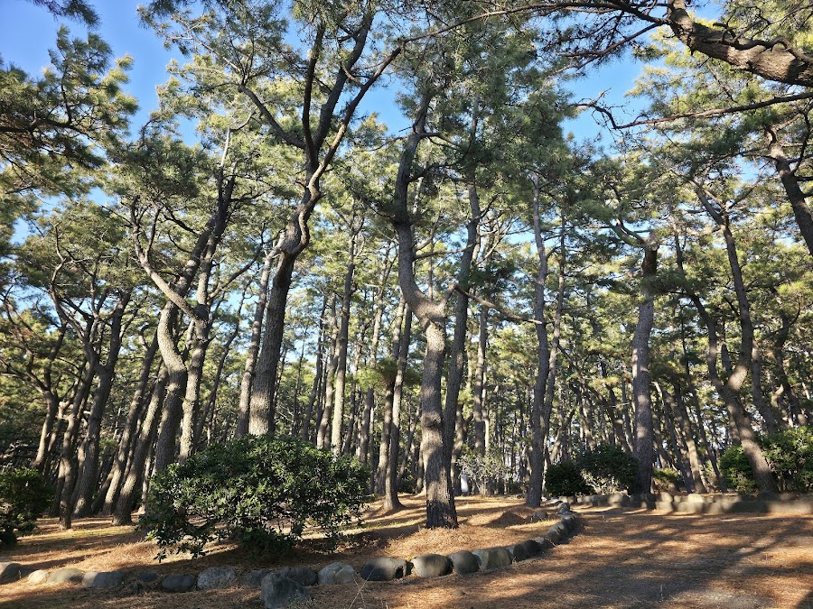 千本浜公園の写真