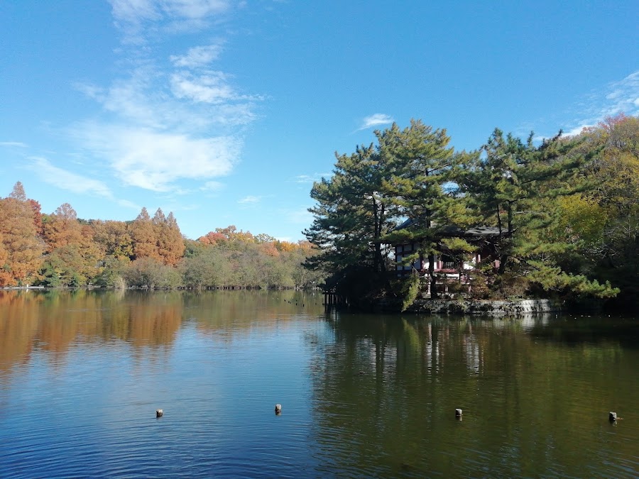 石神井公園の写真
