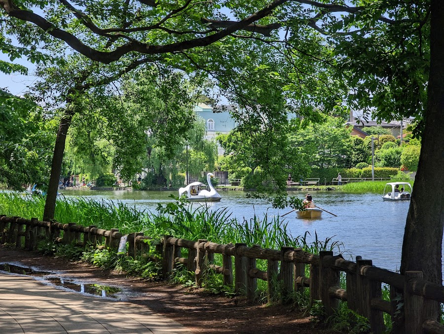 石神井公園の写真