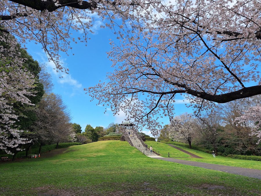 四季の森公園の写真
