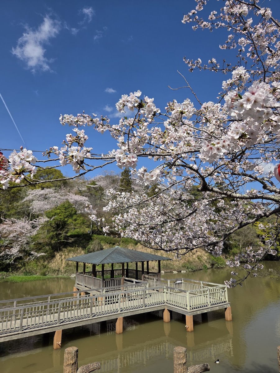 清水船越堤公園の写真