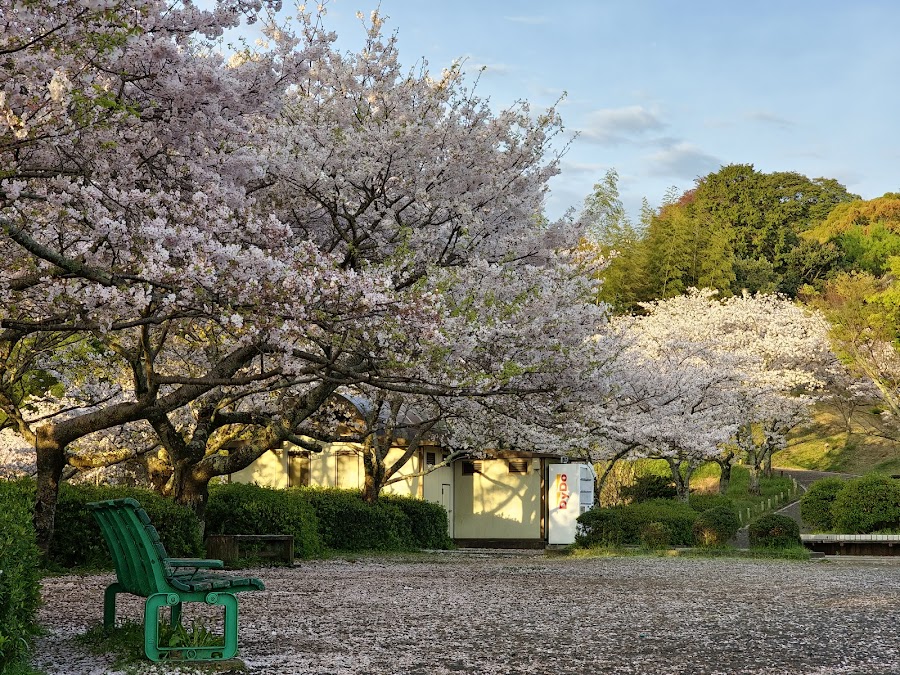 清水船越堤公園の写真