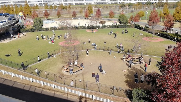 新横浜公園ドッグランの写真