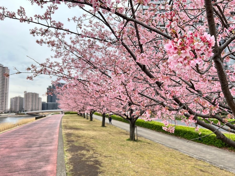 汐入公園の写真