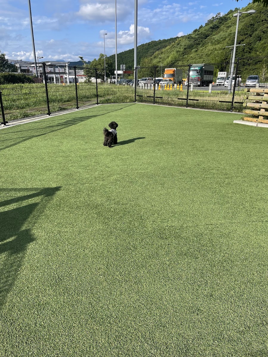 ドッグラン 静岡SA(下り)（NEOPASA静岡）の写真