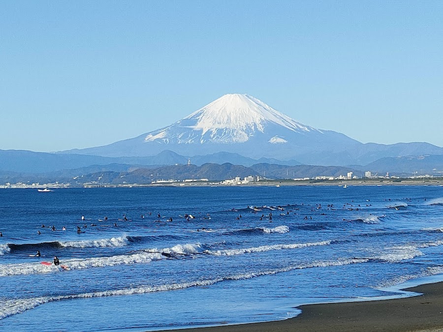 県立湘南海岸公園の写真