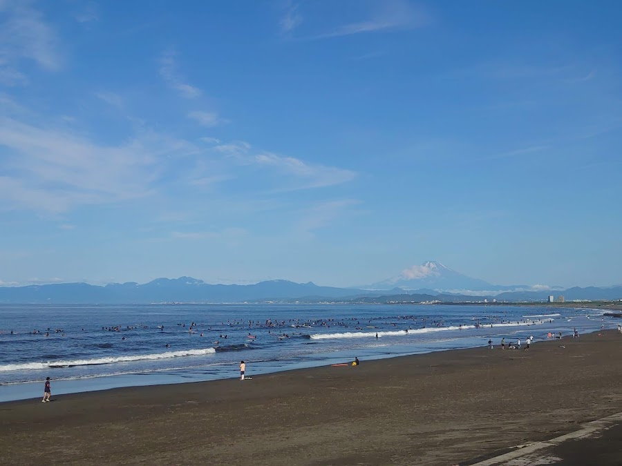 県立湘南海岸公園の写真