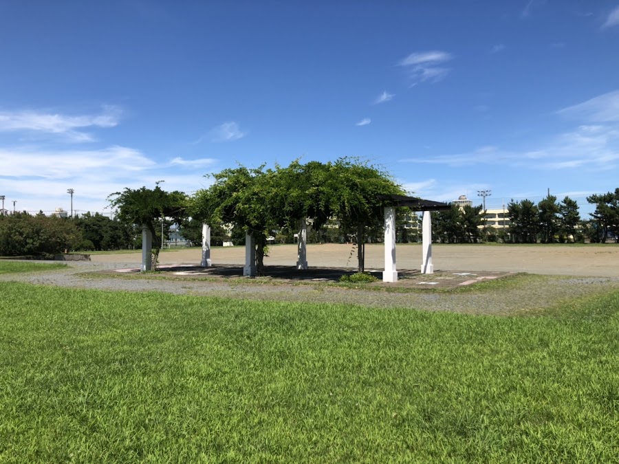 湘南海岸公園の写真