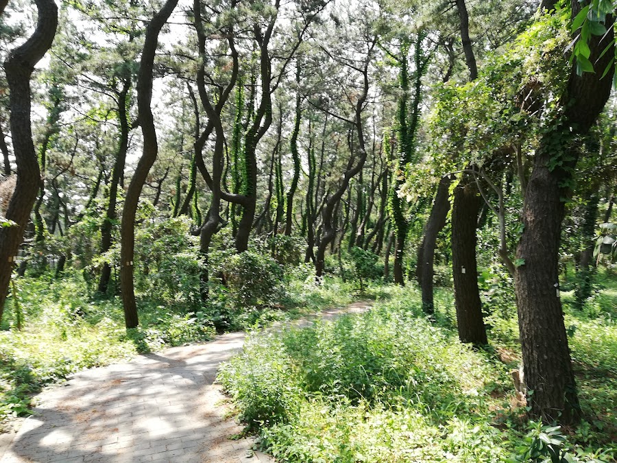 湘南海岸公園の写真