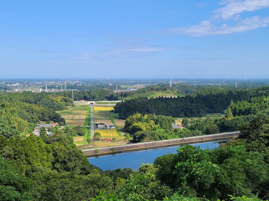 千葉市 昭和の森の写真