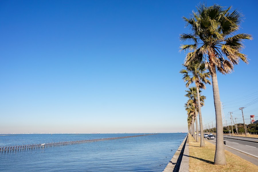 袖ケ浦海浜公園の写真