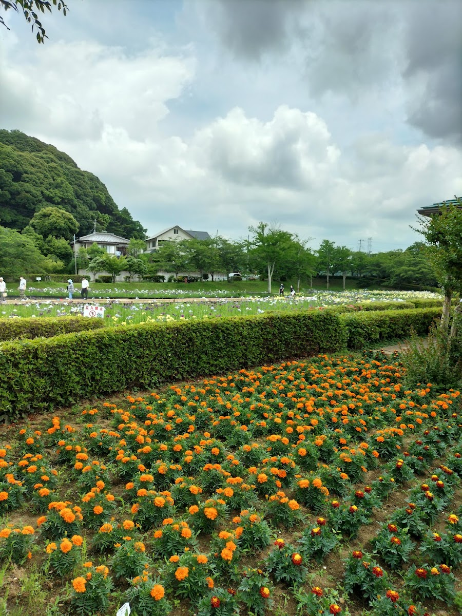 袖ケ浦公園の写真