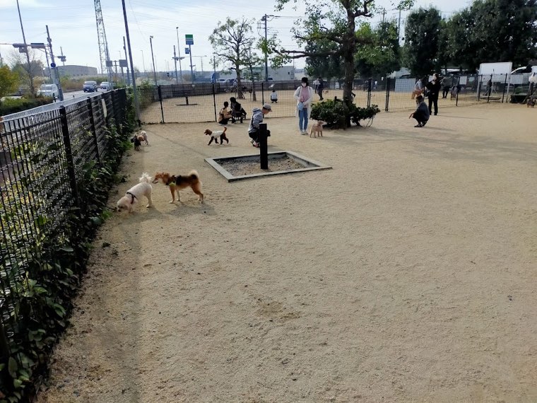草加市ドッグラン広場(そうか公園)の写真