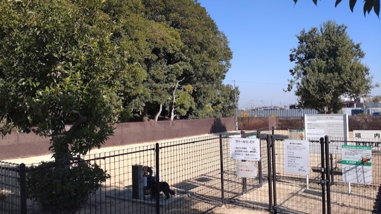草加市ドッグラン広場(そうか公園)の写真