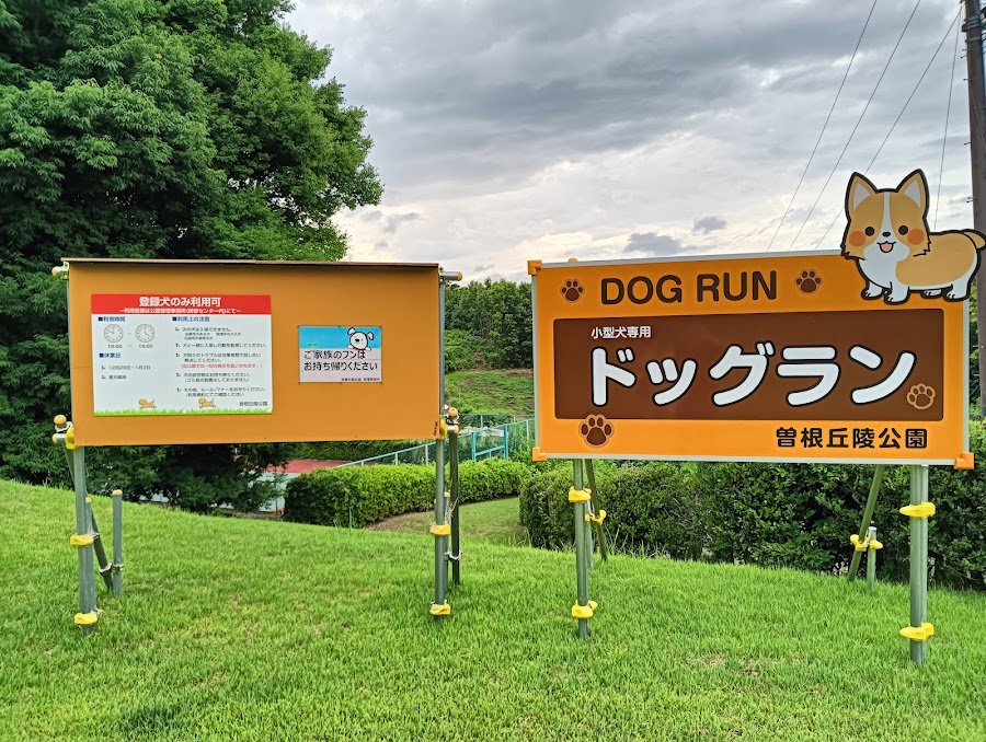 曽根丘陵公園 ドッグランの写真