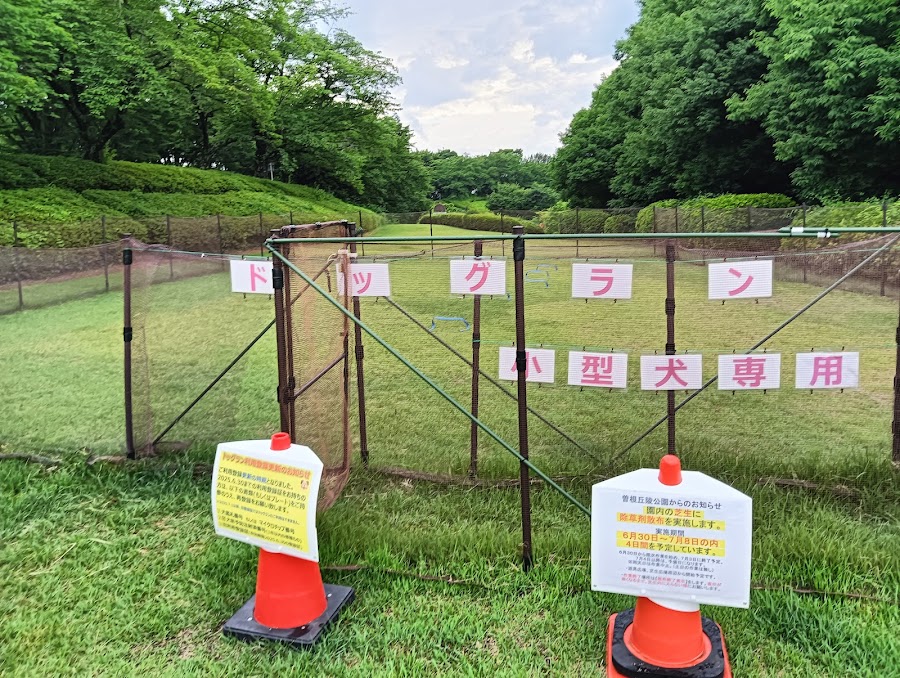 曽根丘陵公園 ドッグランの写真
