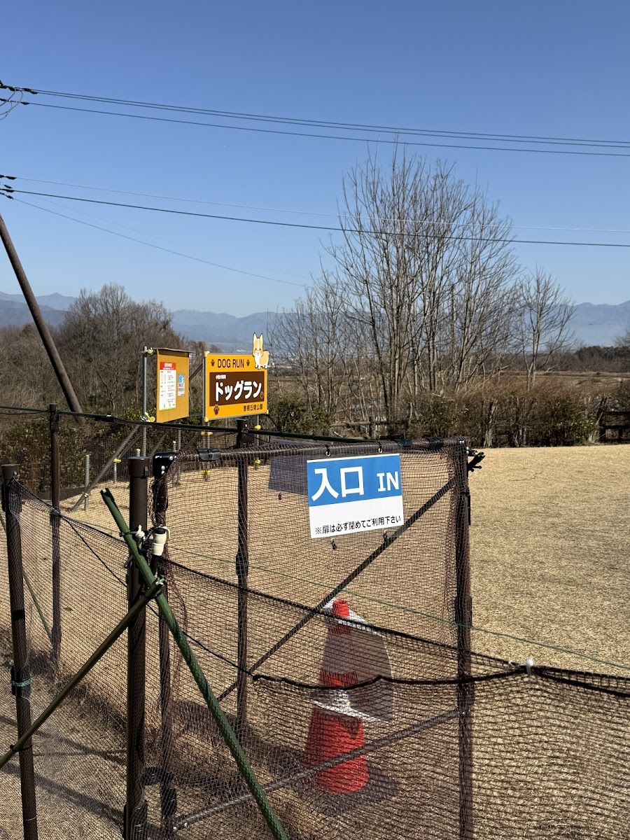曽根丘陵公園 ドッグランの写真
