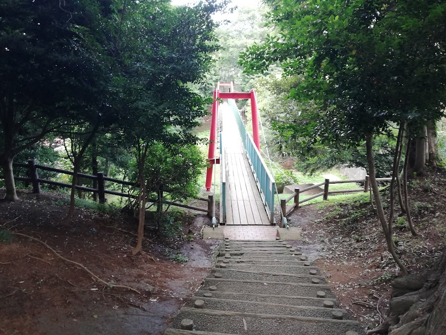 滝の根公園の写真