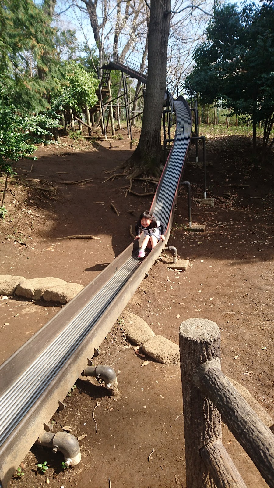 滝の根公園の写真