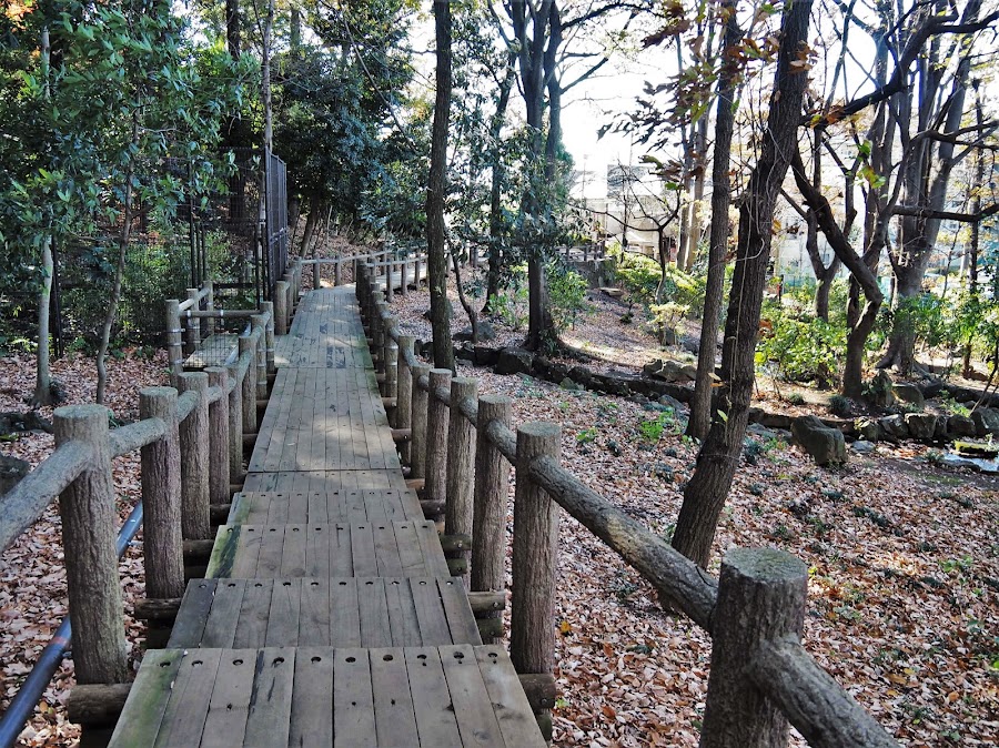 滝の根公園の写真
