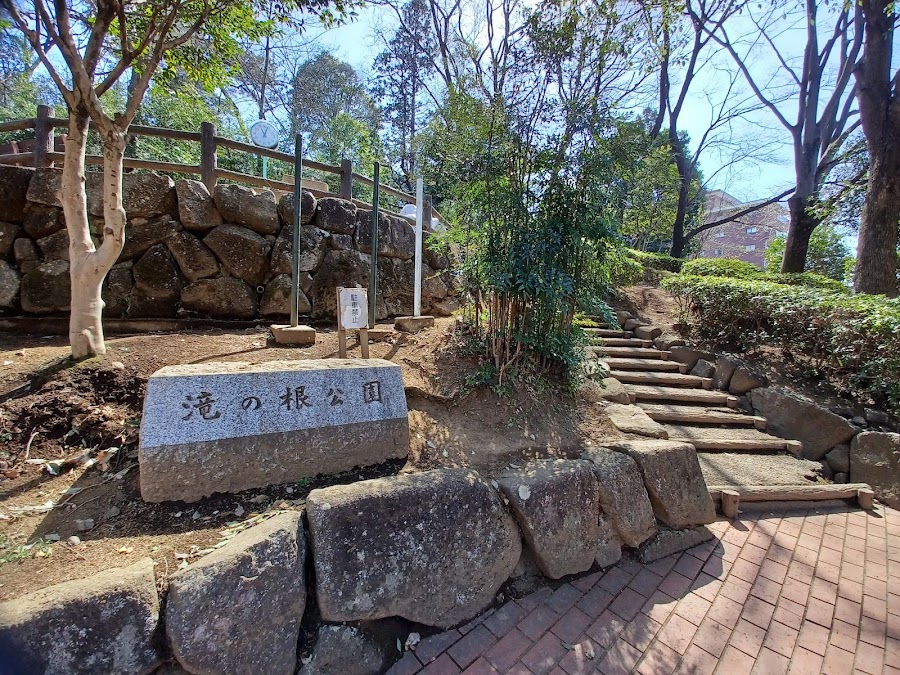 滝の根公園の写真