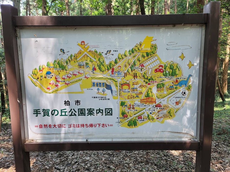 手賀の丘公園の写真