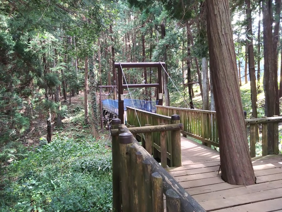 手賀の丘公園の写真