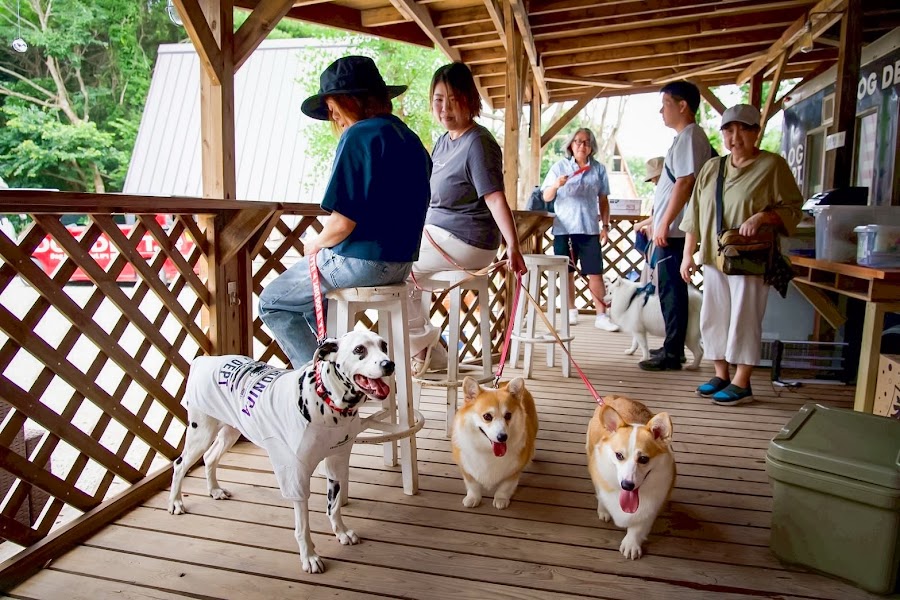 THE FOREST DOG RUN（THE DOG DEPT GARDEN RESORT 館山犬石）の写真