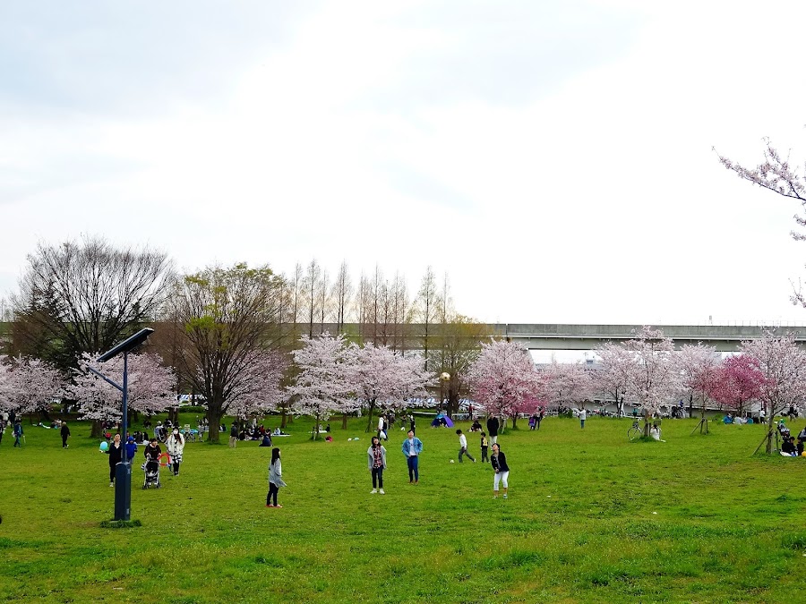 舎人公園の写真