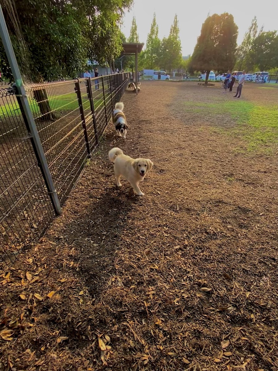 舎人公園 ドッグランの写真